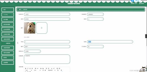 基于SpringBoot的動物保護(hù)協(xié)會管理系統(tǒng)設(shè)計與實現(xiàn)